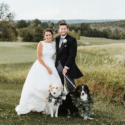 Brits say yes to dogs at weddings - but on your honeymoon?