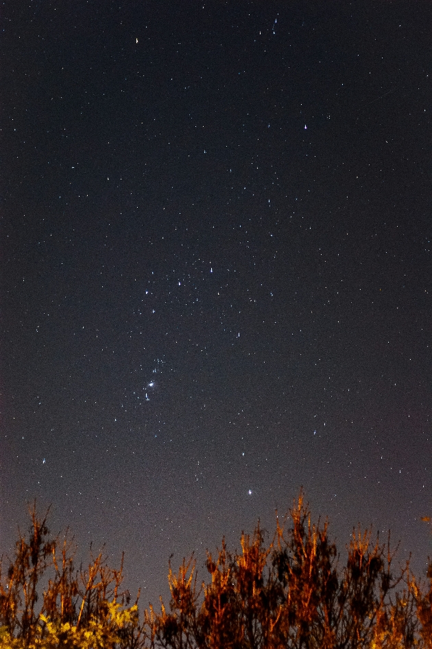 starry night sky